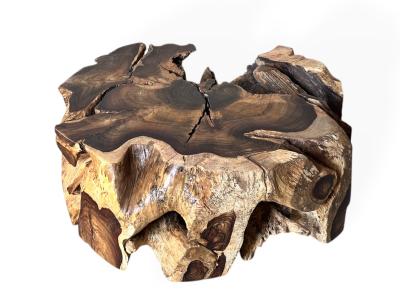 TROPICAL ROOT COFFEE TABLE KOREN