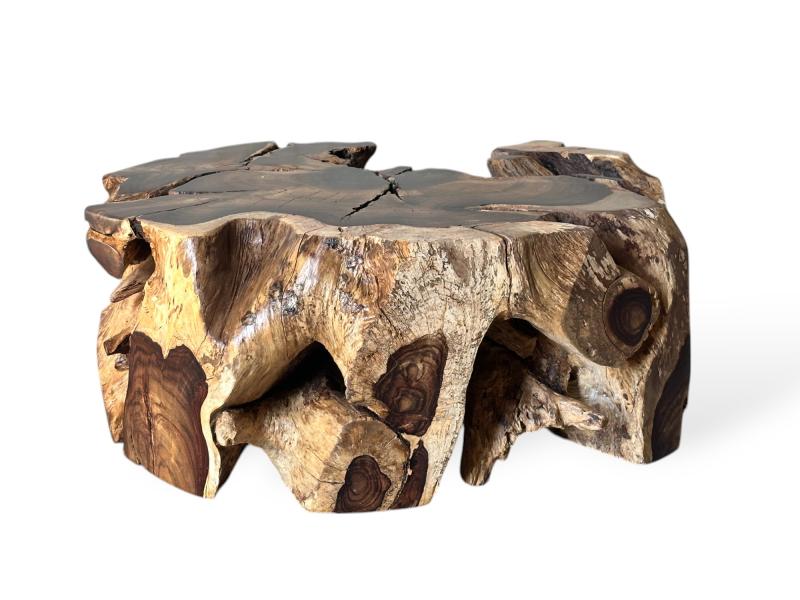 EXCLUSIVE ROOT COFFEE TABLE KOREN