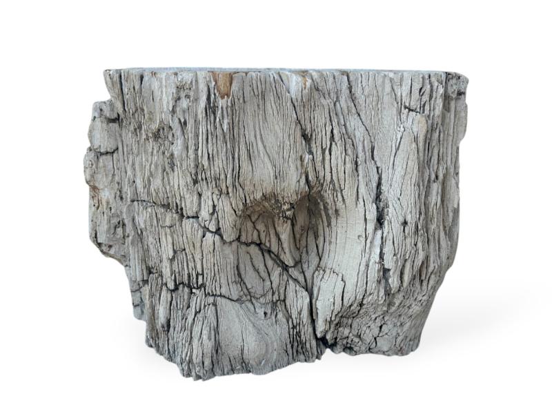 PETRIFIED WOOD SIDE TABLE NETTUNO