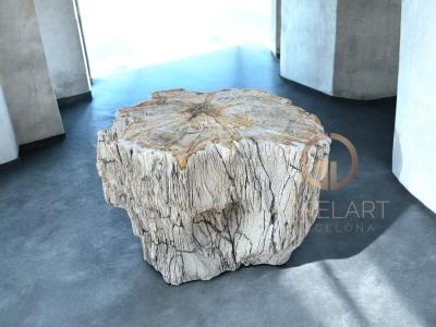 DECORATIVE TABLE IN PETRIFIED WOOD NETTUNO