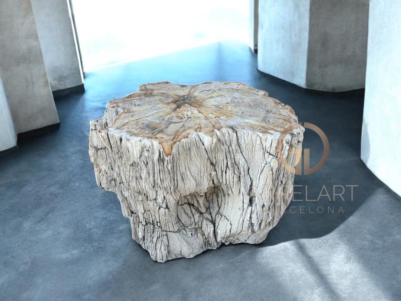 DECORATIVE TABLE IN PETRIFIED WOOD NETTUNO