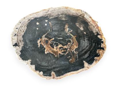 Petrified wood table Karol