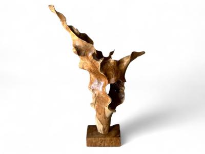 TEAK WOOD ORGANIC SCULPTURE CANCUN