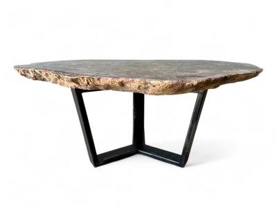 NATURAL FOSSILIZED WOOD COFFEE TABLE