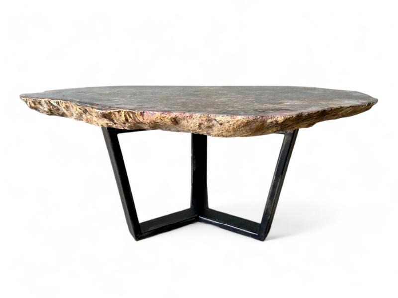 Mesa de Madera Petrificada Natural