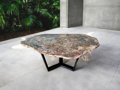 NATURAL PETRIFIED WOOD COFFEE TABLE