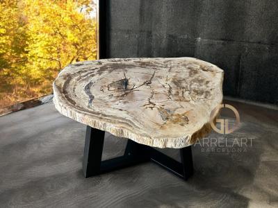 MESA DE CENTRO MADERA PETRIFICADA BELA