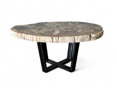 BUY PETRIFIED WOOD COFFEE TABLE ATENEA