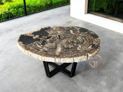 PETRIFIED WOOD TABLE ATENEA