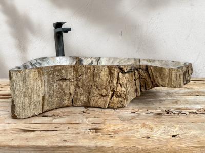 BUY PETRIFIED WOOD WASHBASIN BIANCA