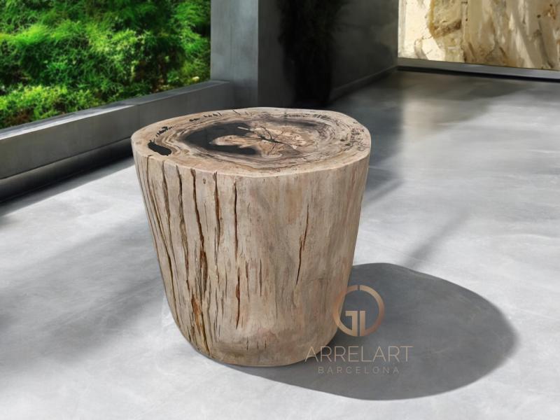 FOSSIL WOOD STOOL WITH POLISHED FINISH LUX