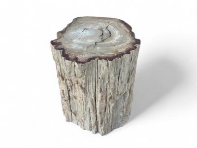 BUY FOSSILISED WOODEN STOOL LUCCA