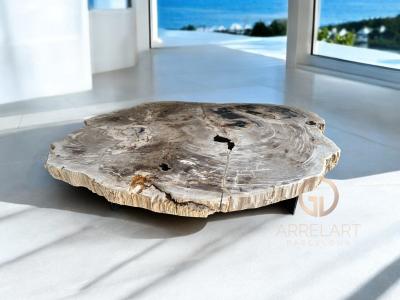 PETRIFIED WOOD TABLE ALMA