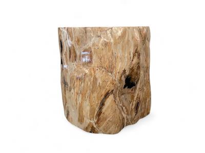 BUY PETRIFIED WOOD SIDE TABLE LOREN