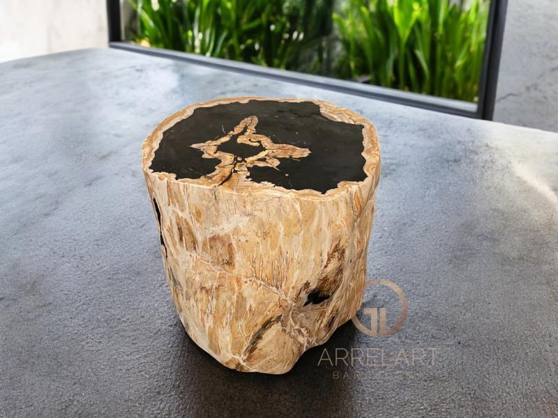 PETRIFIED WOOD SIDE TABLE LOREN