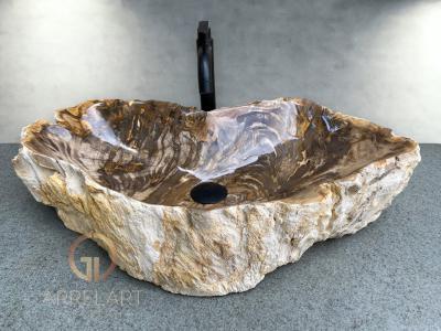 PETRIFIED WOOD SINK CARINTIA