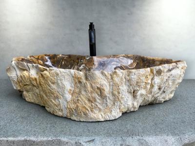 BUY PETRIFIED WOOD SINK CARINTIA