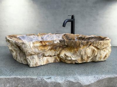 BUY PETRIFIED WOOD WASHBASIN CARINTIA