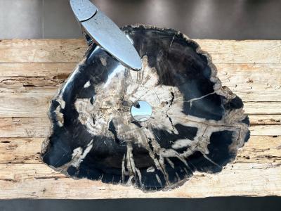 AMAZING PETRIFIED WOOD SINK JOIA