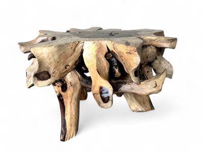 ROOT COFFEE TABLE SUE