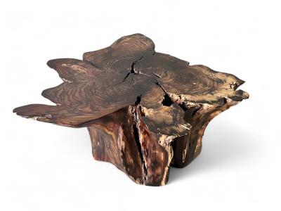 Exclusive Exotic Coffee Table Belice