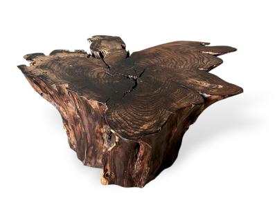 EXOTIC COFFEE TABLE BELICE