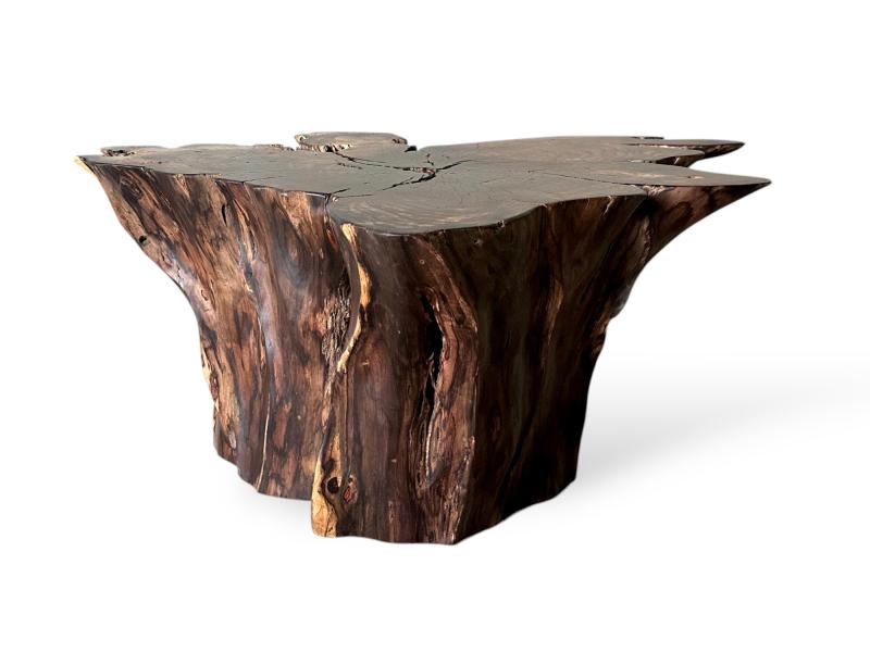 Table Basse Exclusive en Bois Belice