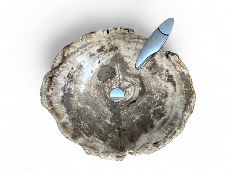 PETRIFIED WOOD WASHBASIN MARION