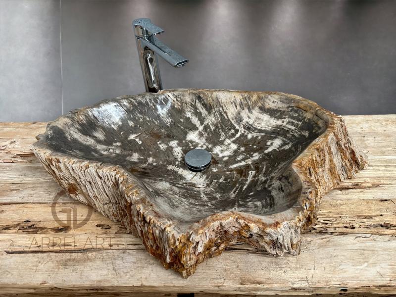 FOSSILIZED WOODEN WASHBASIN PARDUS