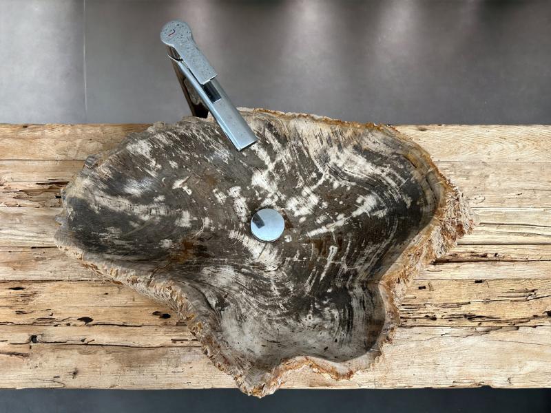 FOSSILIZED WOODEN SINK PARDUS