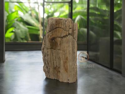 DECORATIVE PETRIFIED WOOD SCULPTURE ELODIE