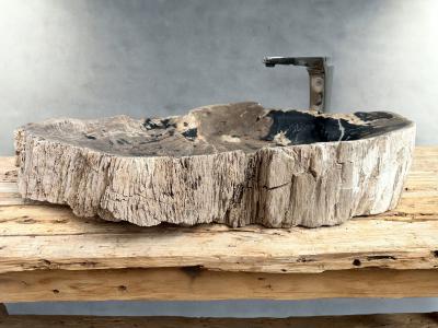 BUY PETRIFIED WOOD SINK REINE