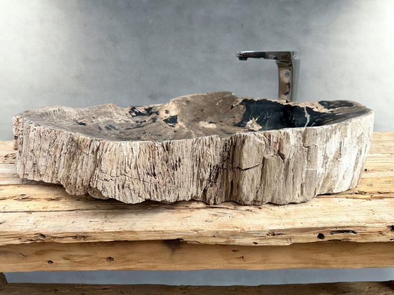 BUY PETRIFIED WOOD SINK REINE