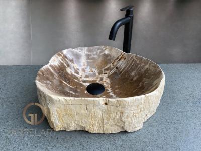 PETRIFIED WOOD SINK PARIS