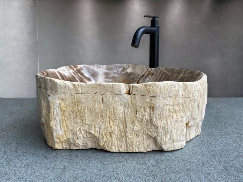 BUY PETRIFIED WOOD SINK PARIS