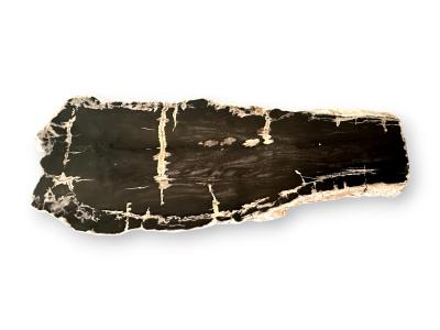 FOSSIL WOOD COFFEE TABLE ARUSHA