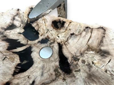 BUY PETRIFIED WOOD SINK LAGUNA