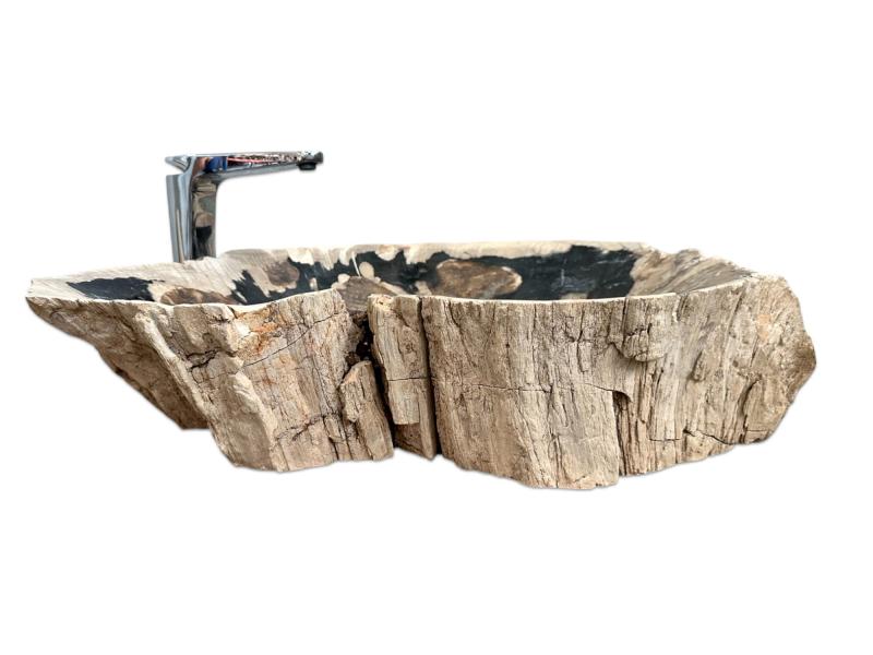 FOSSILIZED WOODEN SINK LEGIAN