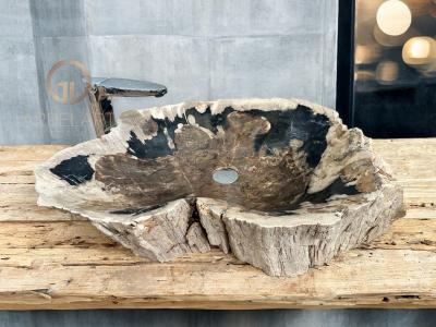 FOSSILIZED WOODEN WASHBASIN LEGIAN