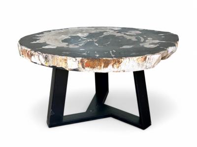 COFFEE TABLE IN PETRIFIED WOOD HELGA