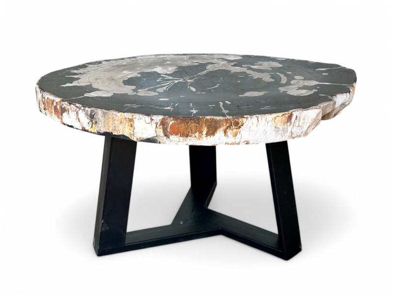 TABLE BASSE EN BOIS PETRIFIE HELGA