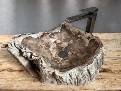 FOSSILIZED WOODEN SINK MOZART