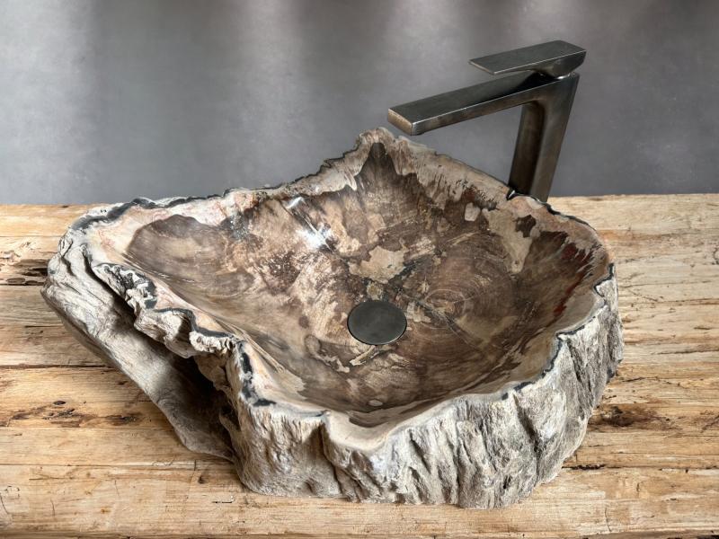 FOSSILIZED WOODEN SINK MOZART