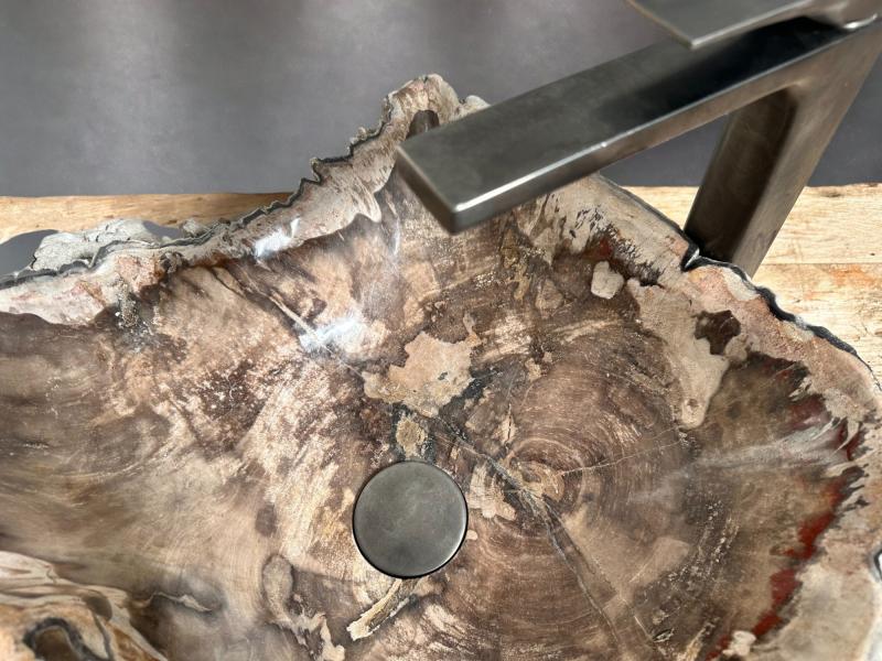 BUY FOSSILIZED WOODEN SINK MOZART