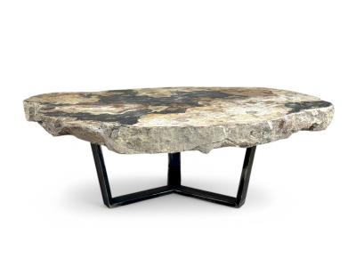 BUY COFFEE TABLE OF PETRIFIED TREE TRUNK MOOREA