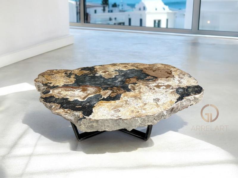 COFFEE TABLE OF PETRIFIED TREE TRUNK MOOREA