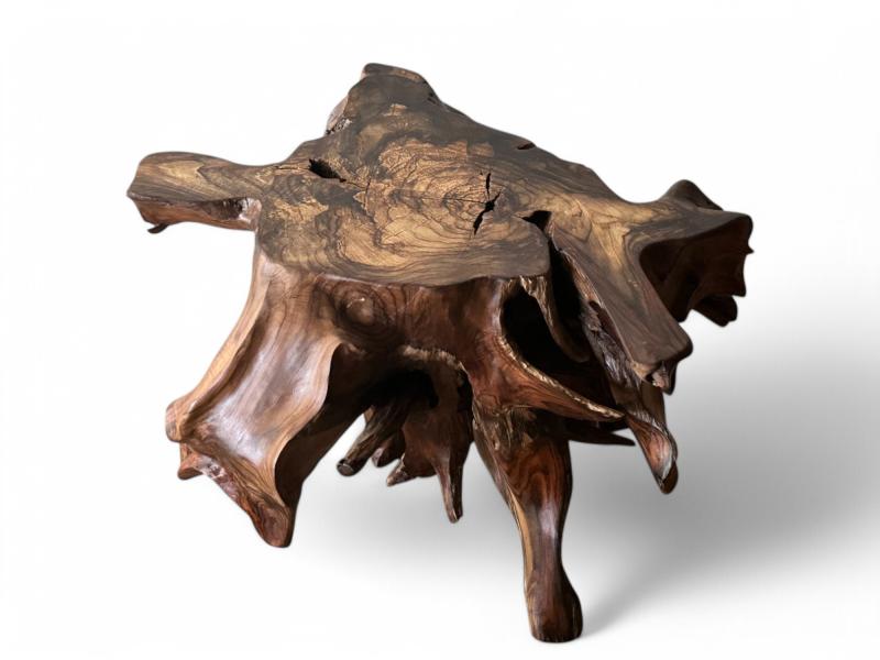 COFFEE TABLE EXOTIC ROOT BORDEAUX