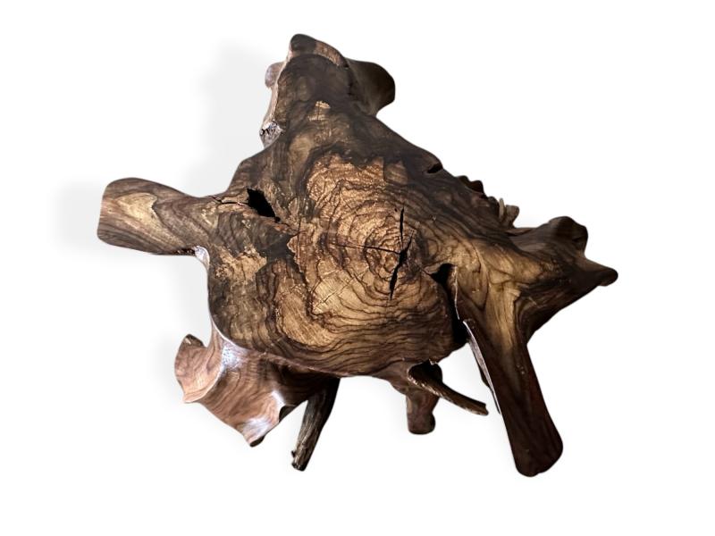 COFFEE TABLE ROOT TREE BORDEAUX