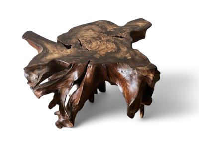 BUY COFFEE TABLE ROOT TREE BORDEAUX