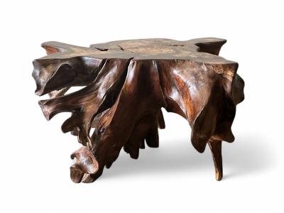 EXOTIC ROOT COFFEE TABLE BORDEAUX